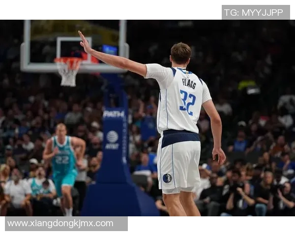 独行侠：一位篮球巨星的成长历程与传奇人生